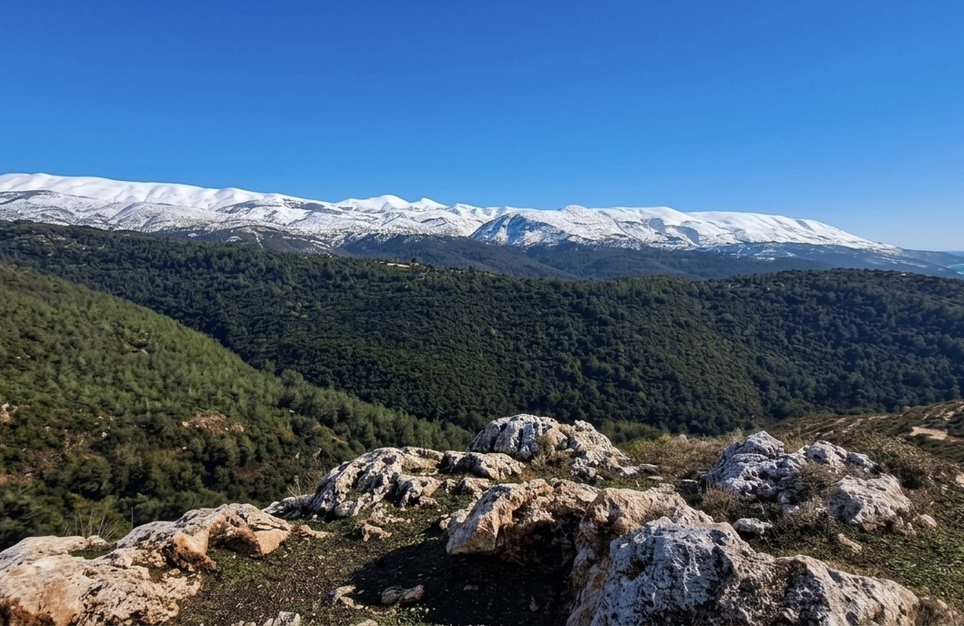 Description of photo